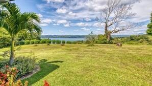 A well-maintained lawn with a variety of plants and a large tree. - Stunning Lake  & Volcano Views (Tronadora)
