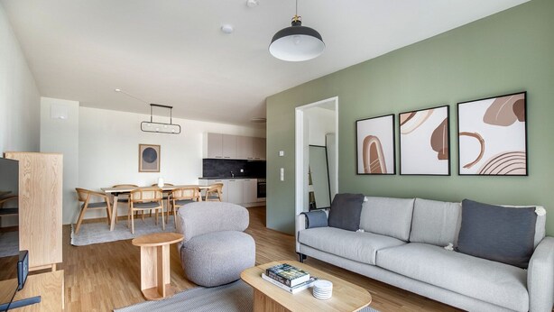 Ein modernes Wohnzimmer mit einem grauen Sofa, einem Esstisch mit Stühlen und einer Küche im Hintergrund.