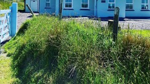 A light blue building with a grey roof, a chimney, and a small porch. - Triple room with ensuite bathroom (Portmagee)