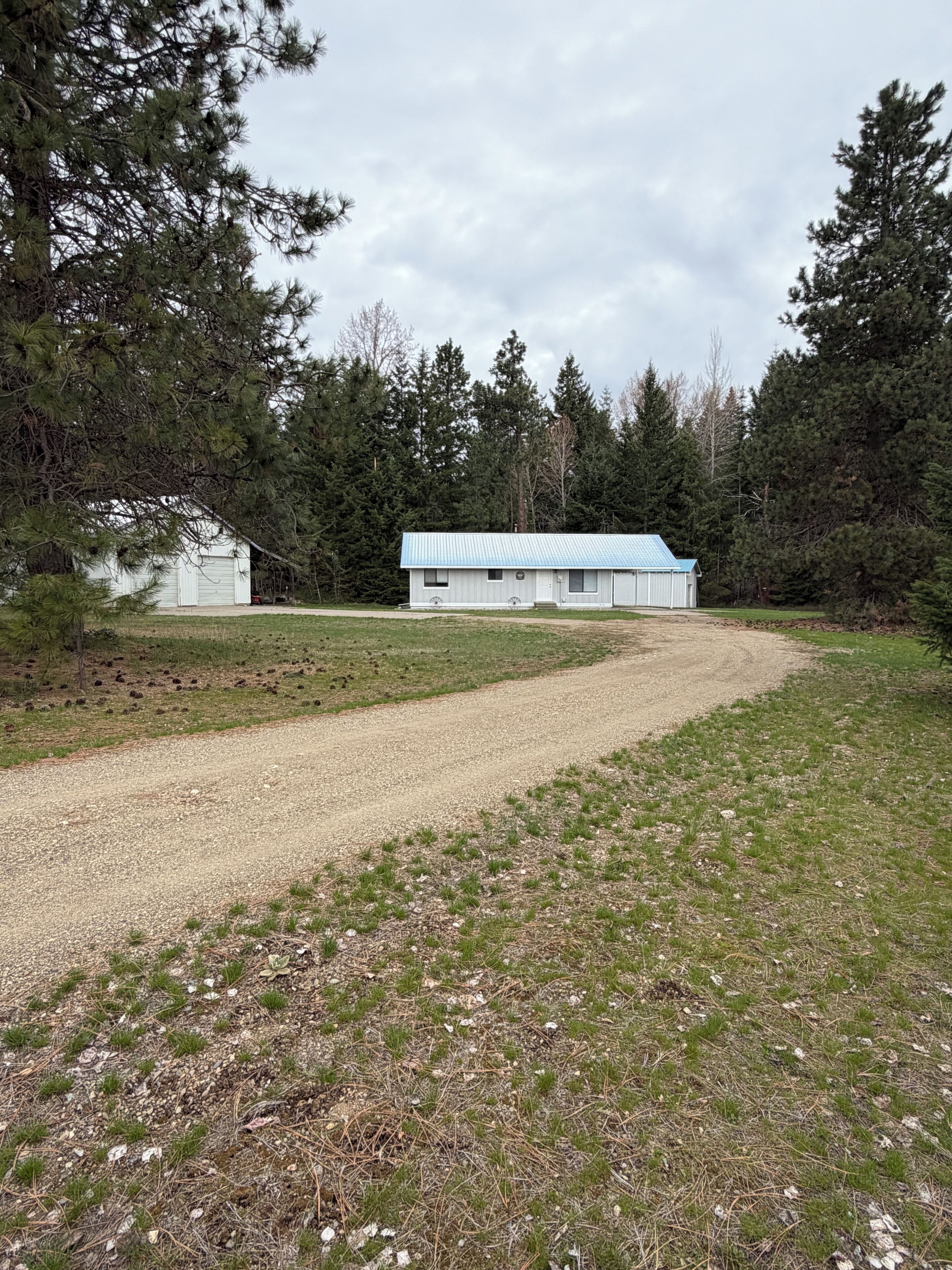 A rural property with a gravel driveway, a white building with a blue roof, and dense forest in the background.
