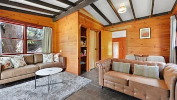 Smart TV, fireplace, books