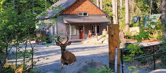 Comfy Family Cabin w/Solo Stove Firepit, EV & Spa!