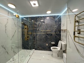 Chuveiro, secador de cabelo, toalhas de banho, sabonete