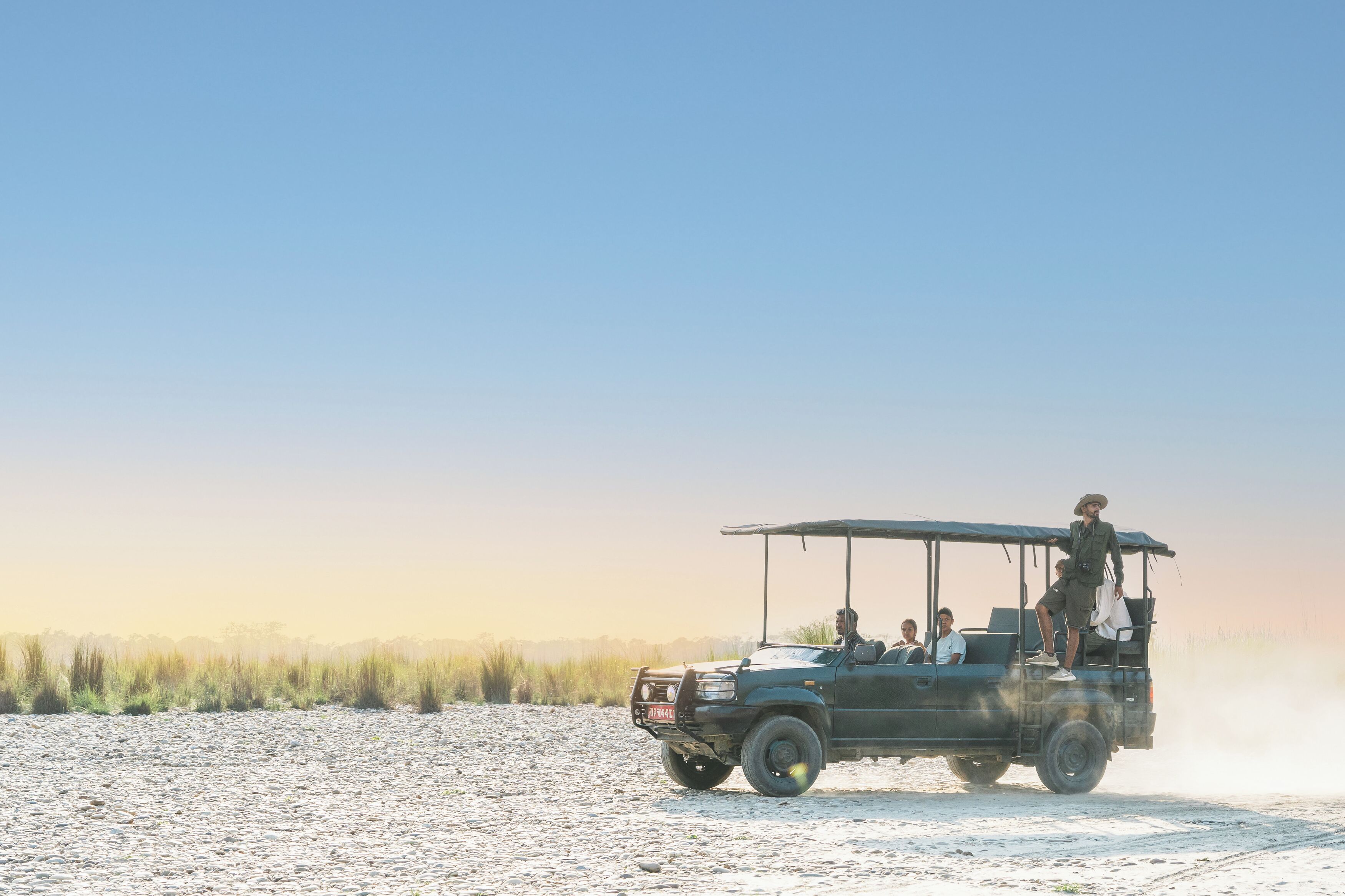 Safari