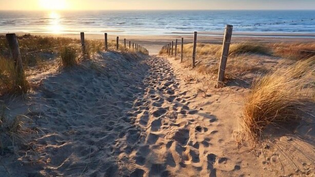 A sandy beach path with wooden posts, leading to the ocean. - Studio Loet Schagen (Schagen)
