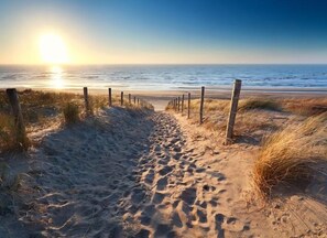 Beach - Studio Loet Schagen S (Schagen)