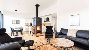 TV, fireplace, table tennis