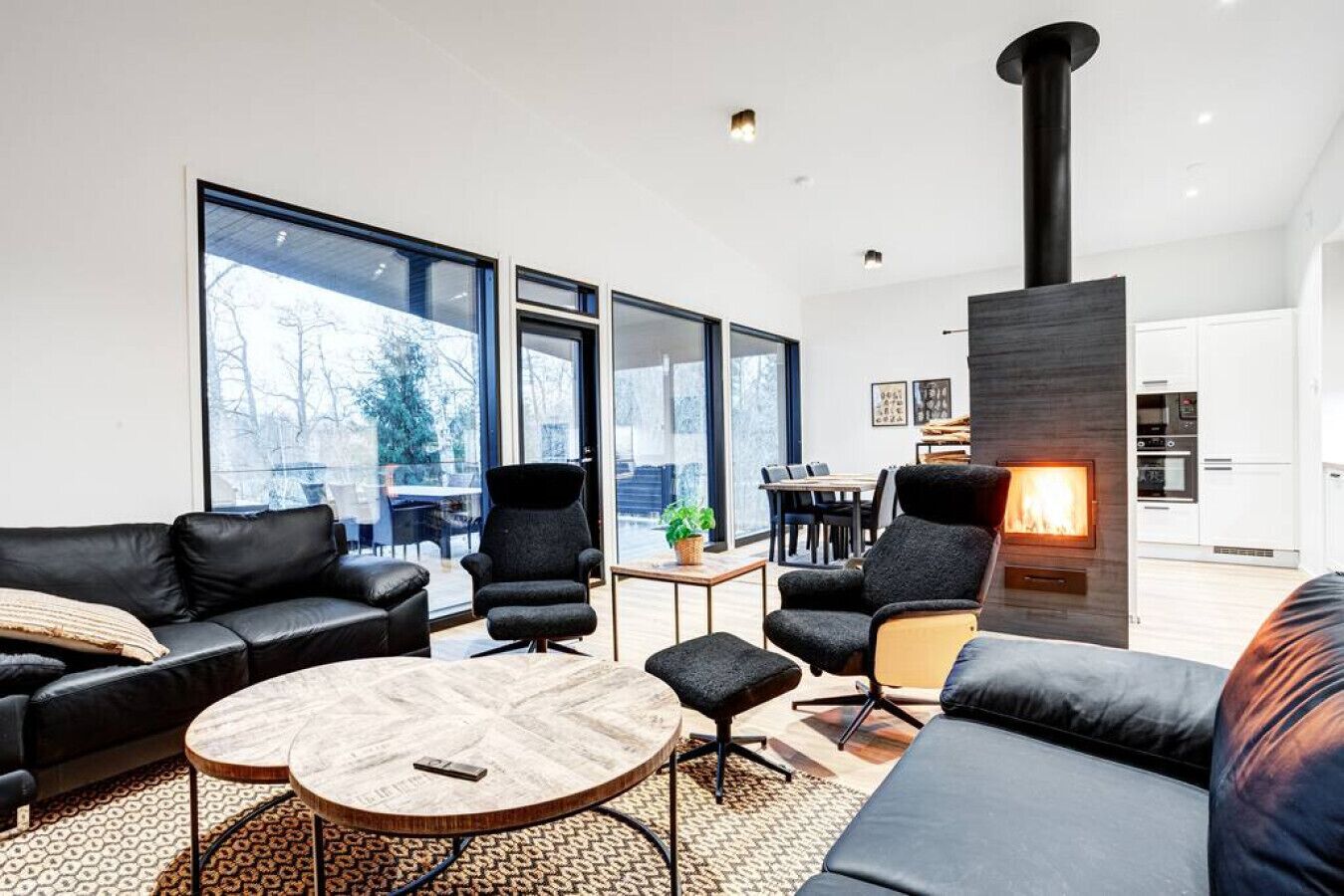 TV, lareira, mesa de pingue-pongue