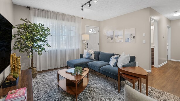 Een moderne woonkamer met een bank, salontafel en een grote plant.
