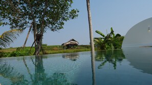 Pool - Modern Luxurious villa, with rice field views, and a 10-minute drive to Canggu.  (Kabupaten Tabanan)