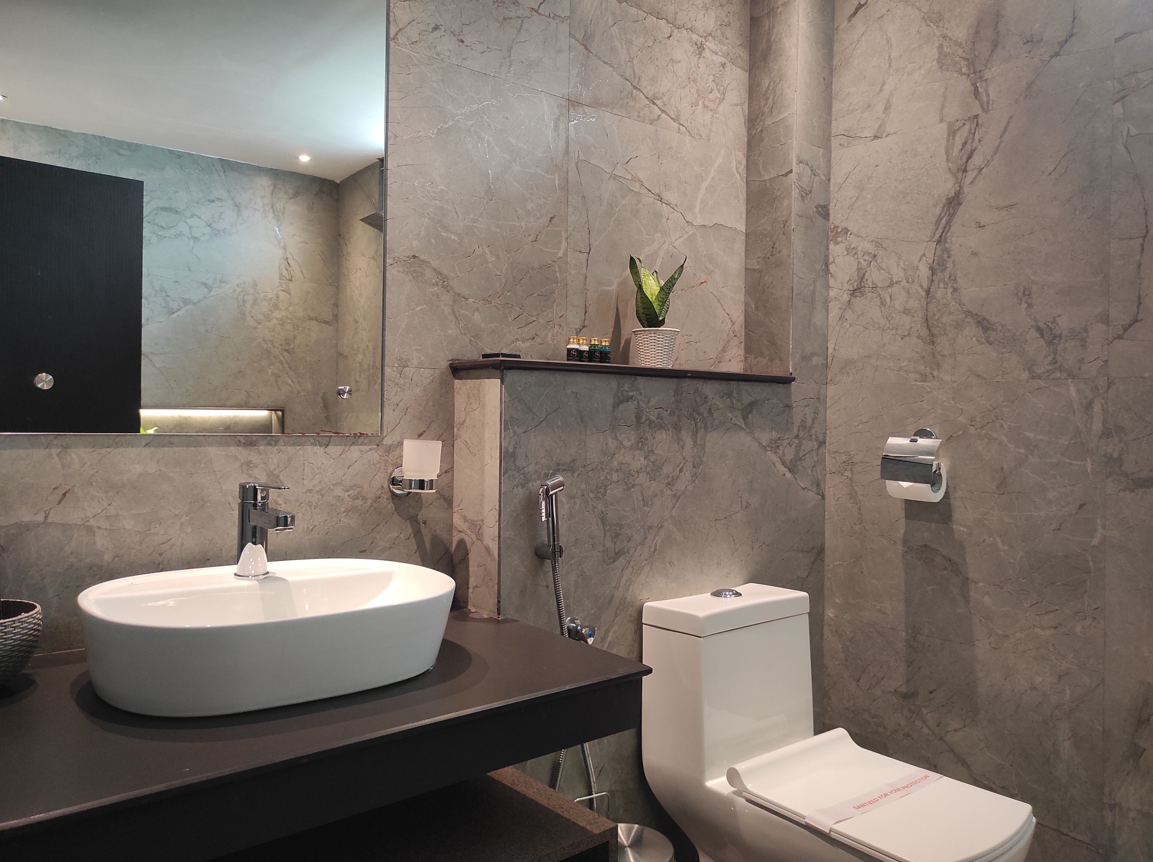 A modern bathroom with a large white sink, a toilet, and a shower. There is a mirror above the sink and a shelf with a plant.