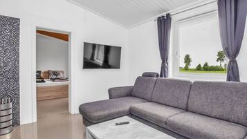 Fernseher, Kamin