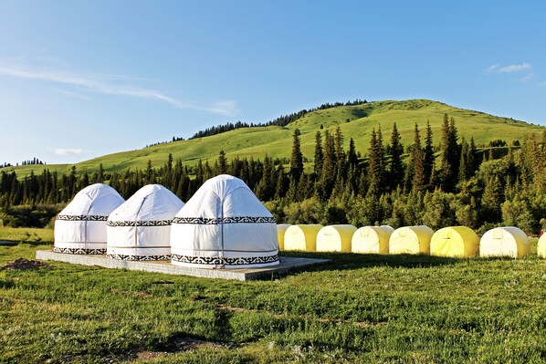 Front of property - Karkyra glamping (Karkara)