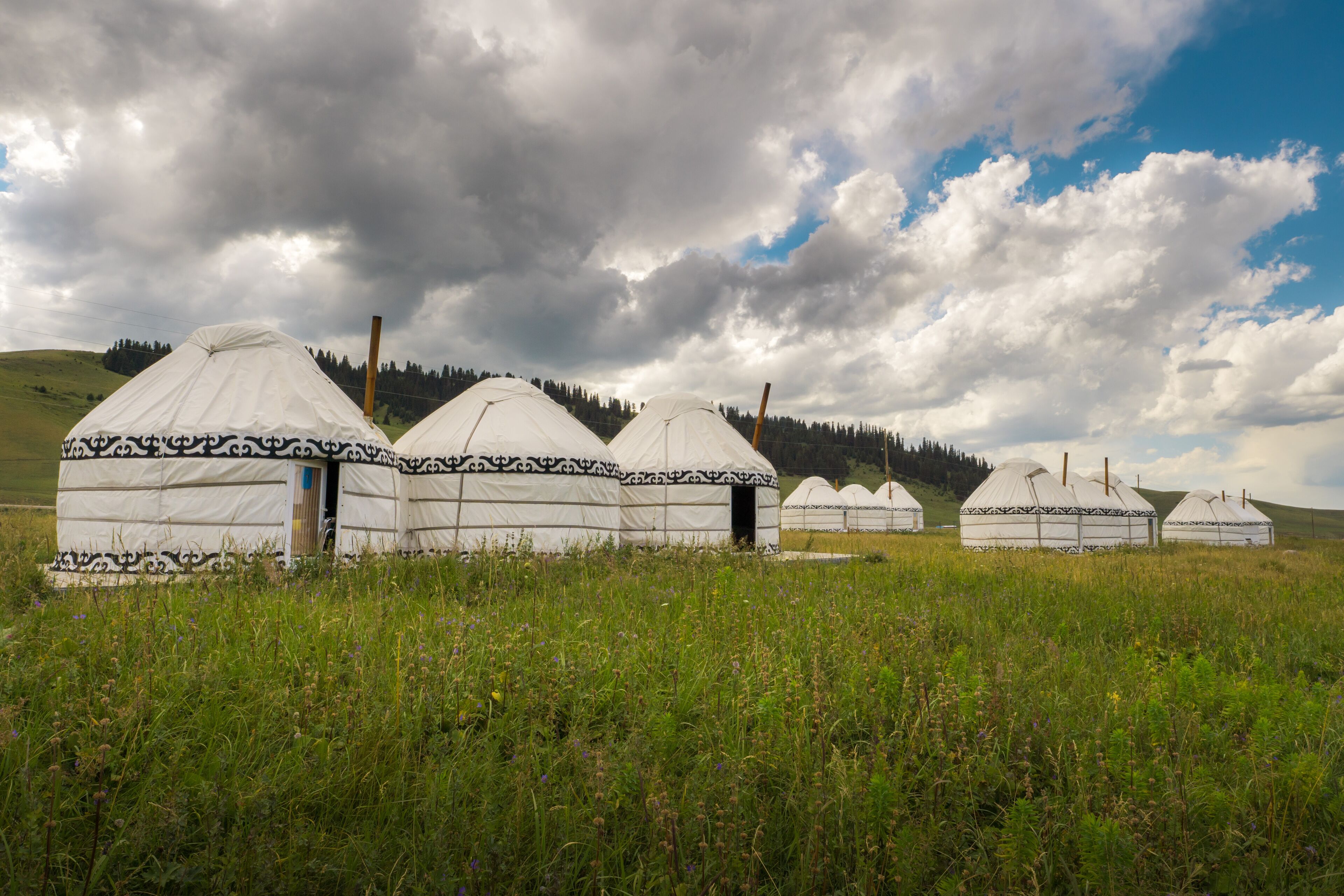 Una hilera de yurtas tradicionales en un campo de hierba bajo un cielo nublado.