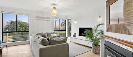Smart TV, fireplace, books