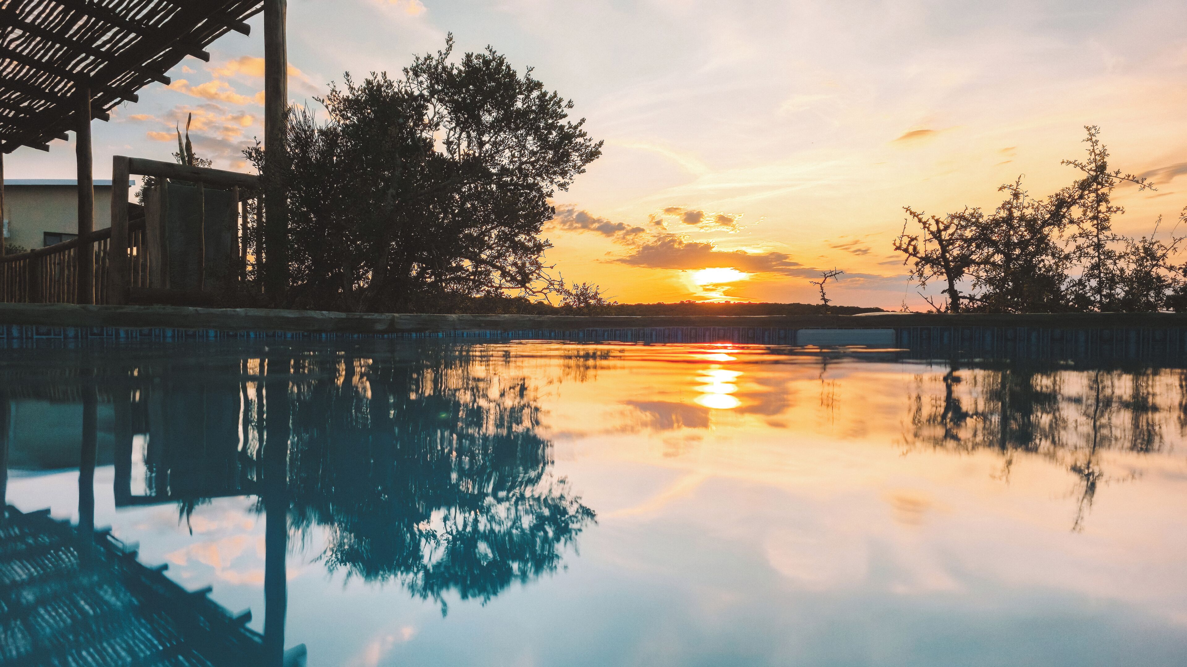 Xem động vật hoang dã