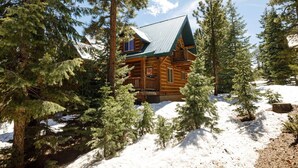 A log cabin with a green roof surrounded by snow and pine trees. - Browning Lodge Retreat! (Duck Creek Village)