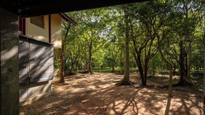An outdoor area with a gravel path, surrounded by trees and a building with a sloped roof. - The River House Dambulla by The Serendipity Collection (Dambulla)
