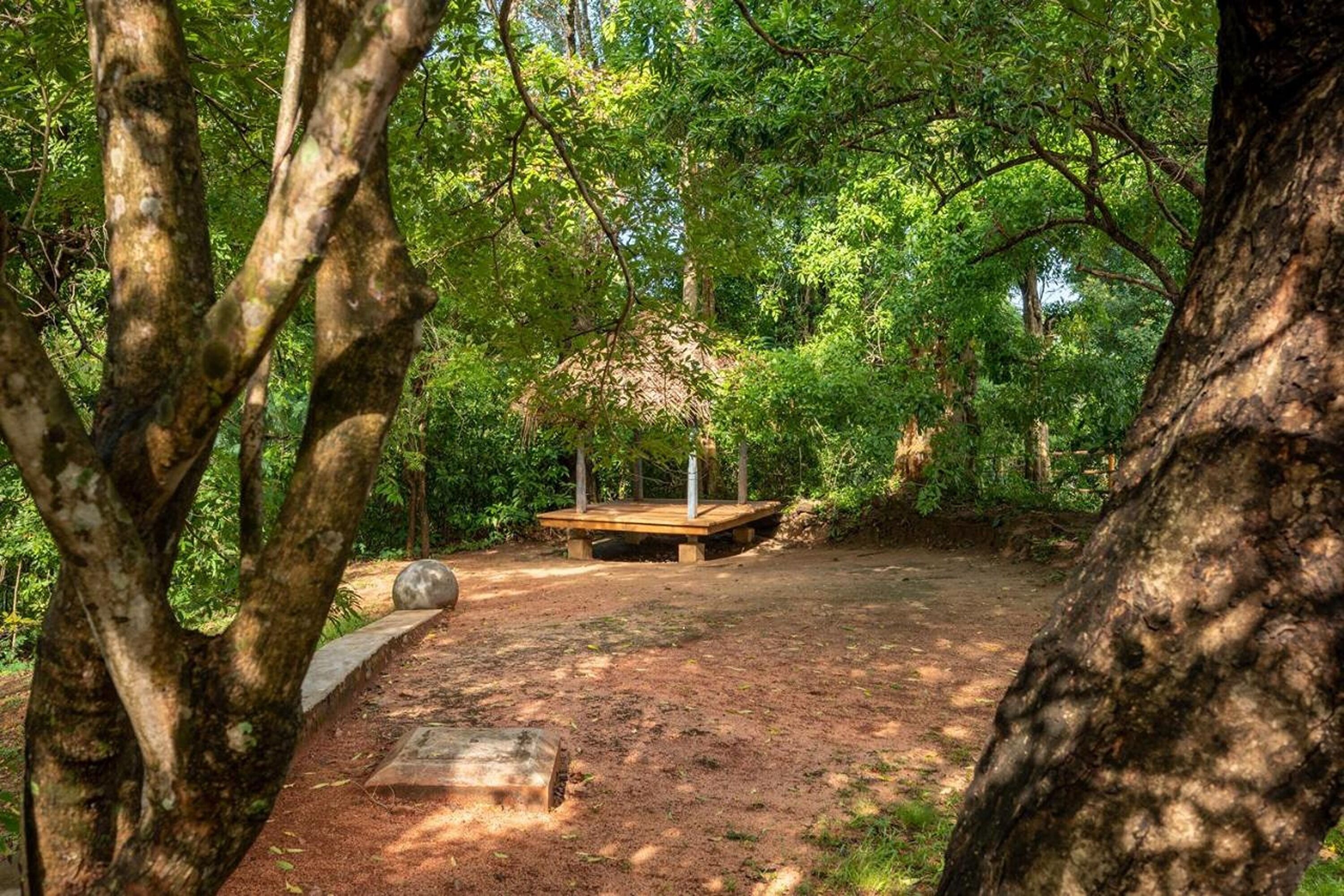 A forested area with a wooden bench and a concrete slab, surrounded by trees and greenery.