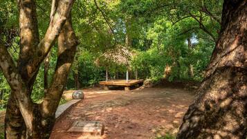A forested area with a wooden bench and a concrete slab, surrounded by trees and greenery.
