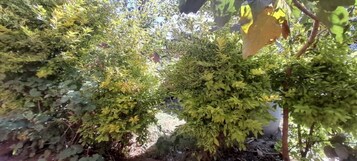 Área de estar