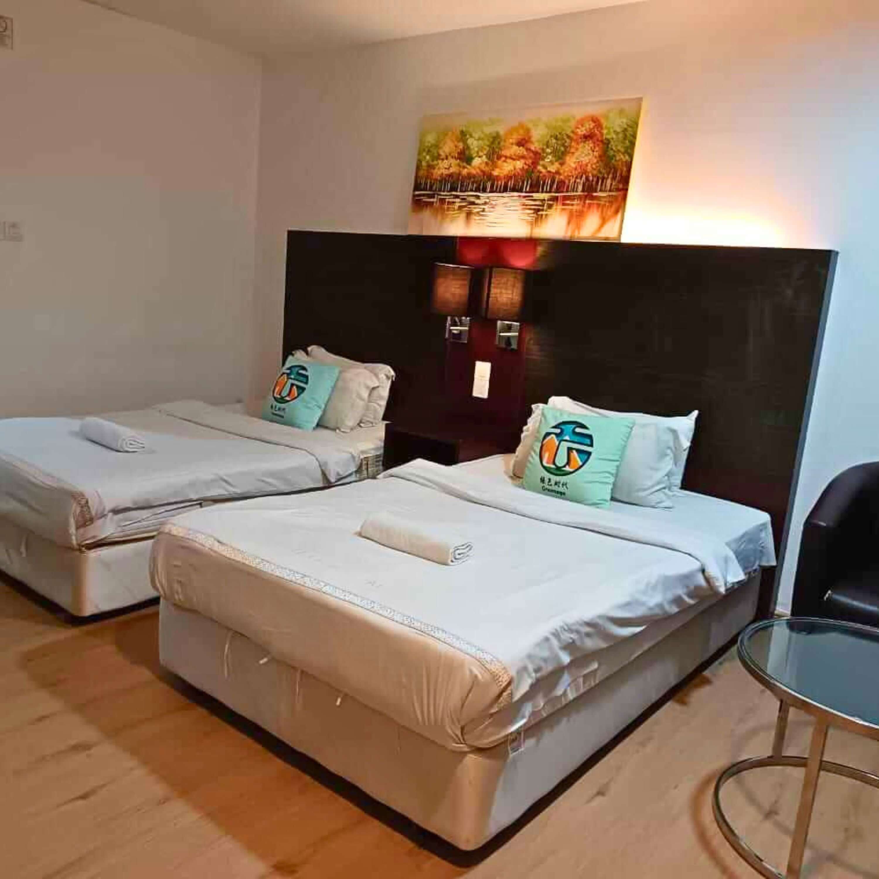 Apartamento estándar | Decoración individual, escritorio, cortinas opacas