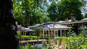 Un espace extérieur aménagé avec des tables et des parasols, entouré d’une végétation luxuriante et d’arbres.