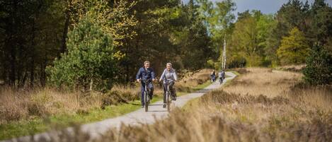 Holiday Park Facilities and Services
