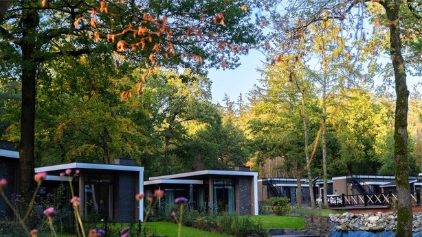 Un espace extérieur moderne avec un étang, entouré d’arbres et agrémenté d’un petit pont.
