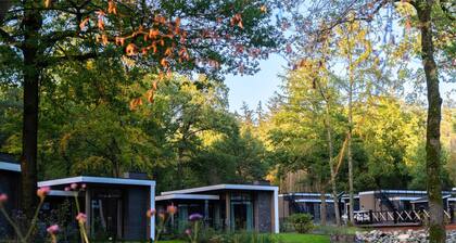 Modern Lakeview Cottage in Veluwe