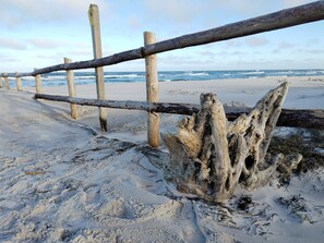A sandy beach with wooden posts and driftwood. - FLOATING HOUSES - Comfortable floating vacation homes at the Barth marina (Barth)