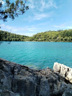 Front of property - Apartments Patricija (Mljet)