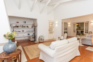 TV, fireplace, books