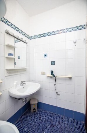 Regadera, secadora de cabello, bidet, toallas 