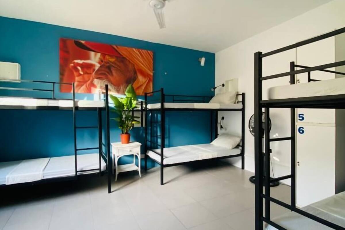 A dormitory room with bunk beds, a ceiling fan, a desk with a chair, and a potted plant.