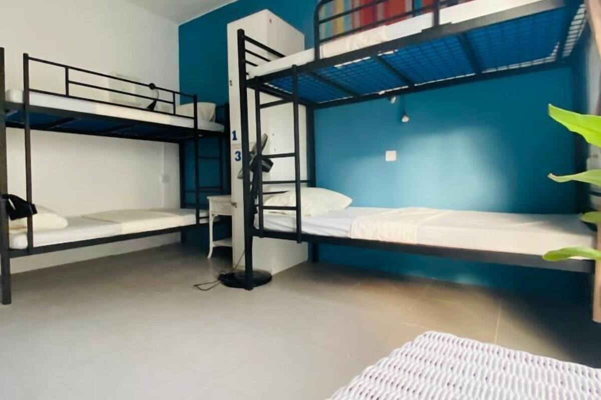 A dormitory room with bunk beds, a small table, and a plant.