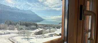 Wohnung Lake View