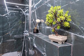 Eco-friendly toiletries, hair dryer, towels, soap