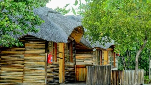 Una cabaña de madera rústica con techo de paja, rodeada de abundante vegetación.