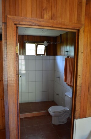Shower, towels