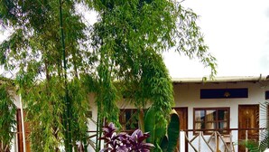 A garden area with potted plants and a wooden structure.