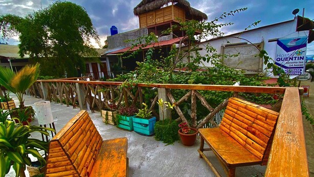 A patio area with wooden benches and potted plants.
