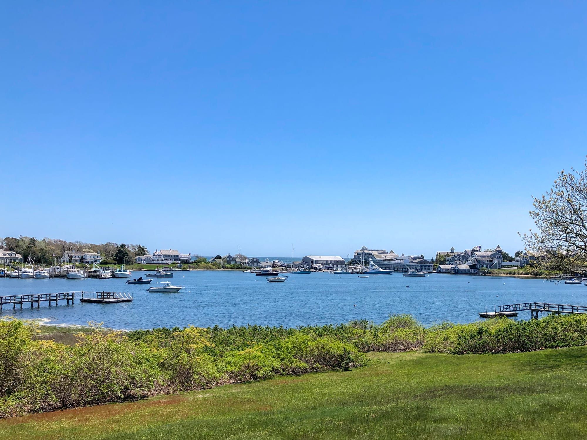 Un puerto deportivo con barcos amarrados, cielo despejado y casas a la orilla del agua.