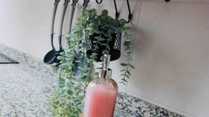 A kitchen with a countertop, a hanging plant, and a faucet. - Apartamento El Picu (Collanzo)