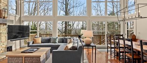 Televisión y chimenea