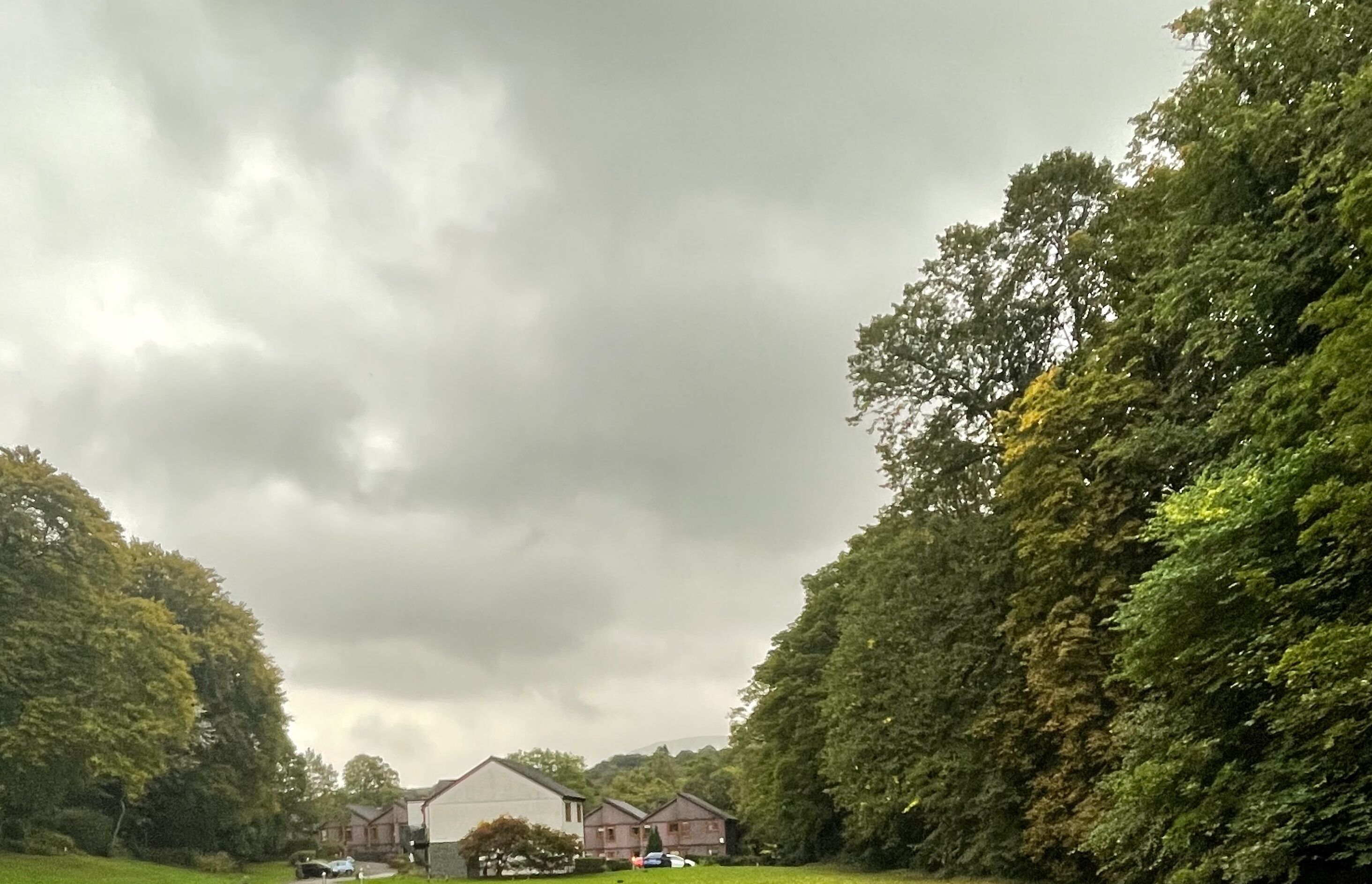 A rural setting with a large house surrounded by dense trees and a cloudy sky.