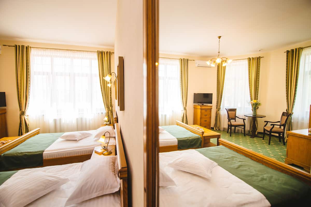 Une chambre d’hôtel avec deux lits simples, un bureau avec une chaise, une petite table avec une plante et un téléviseur.