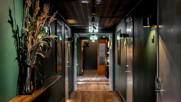 A hallway with wooden flooring, green walls, and a plant on a shelf.