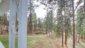 A view of a forested area with a path leading through it, visible from a covered structure.