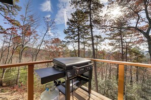 House (2 Bedrooms) | Interior - Modern Mountain-view Sanctuary in Pisgah Forest (Pisgah Forest)
